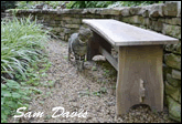 Bench 1 - Path in front of Arkwood - Cat image